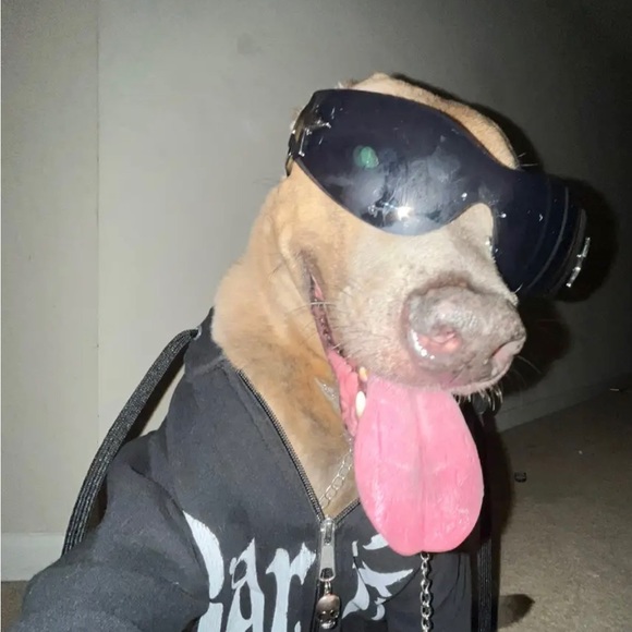 Meet your Posher, Jonathan - Picture 1 of 1